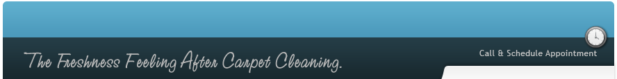 SanAntonioCarpetCleaningTX.Com