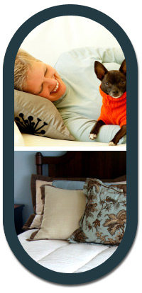Upholstery steam cleaning San Antonio Upholstery steam cleaning San Antonio